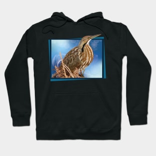 Lentiginous Bittern Hoodie